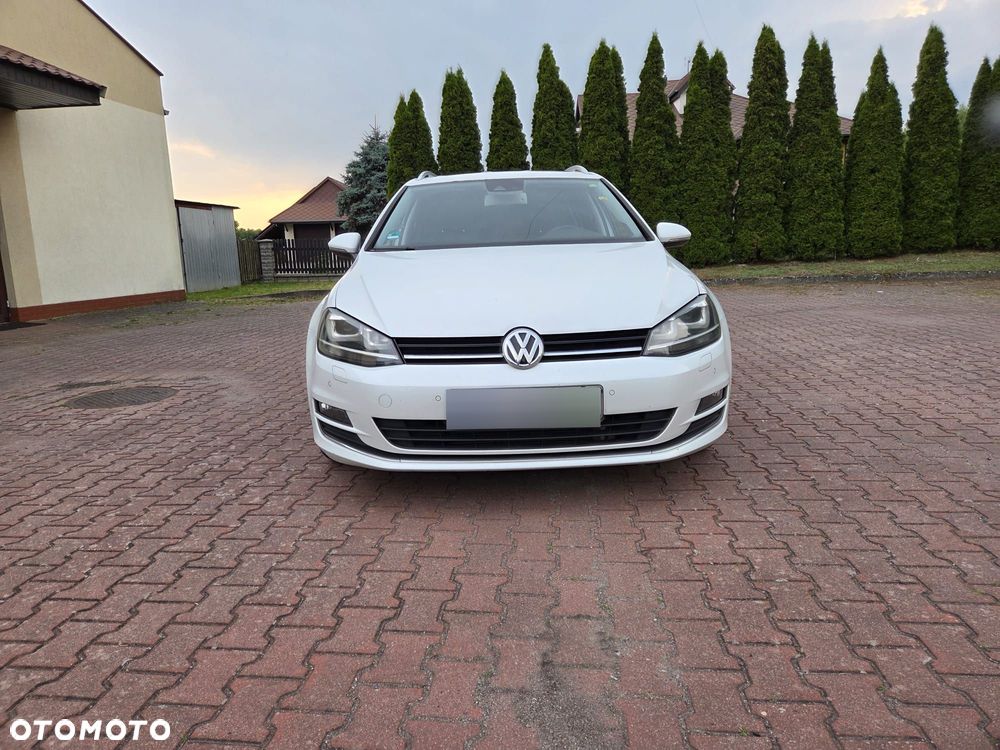 Volkswagen Golf - 1