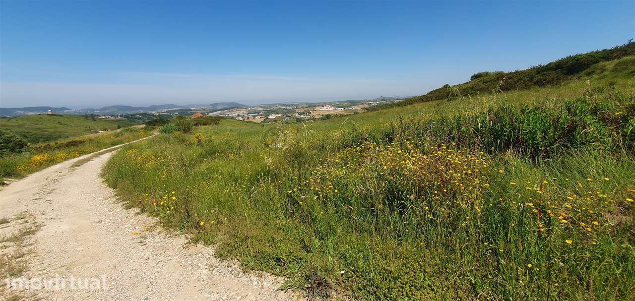 Terreno com 19.400 m² - Grande imagem: 3/8