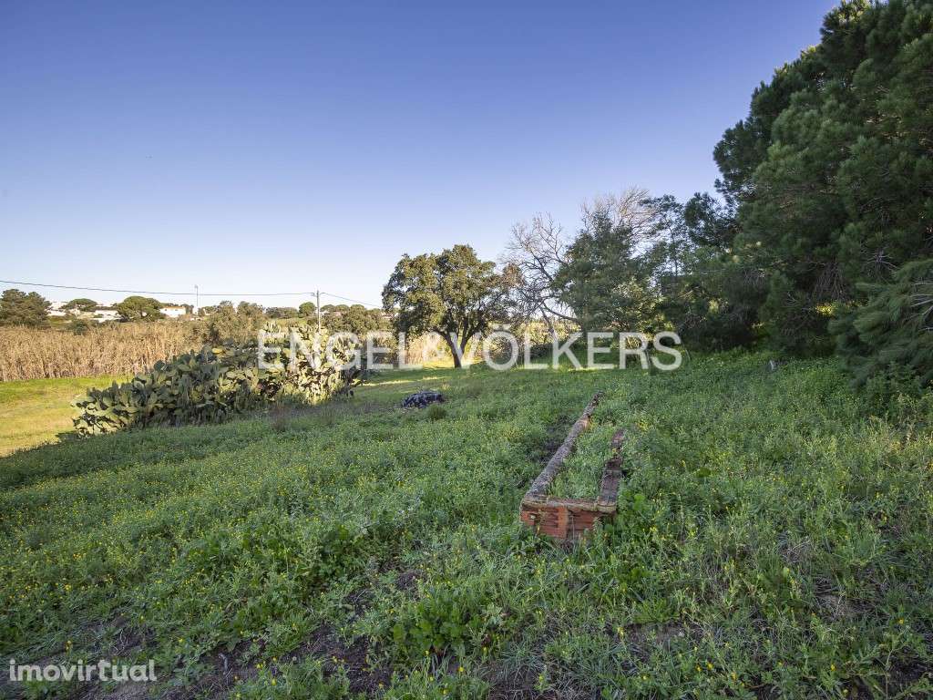 Terreno Agrícola com parcela destacada para construção - Grande imagem: 4/25