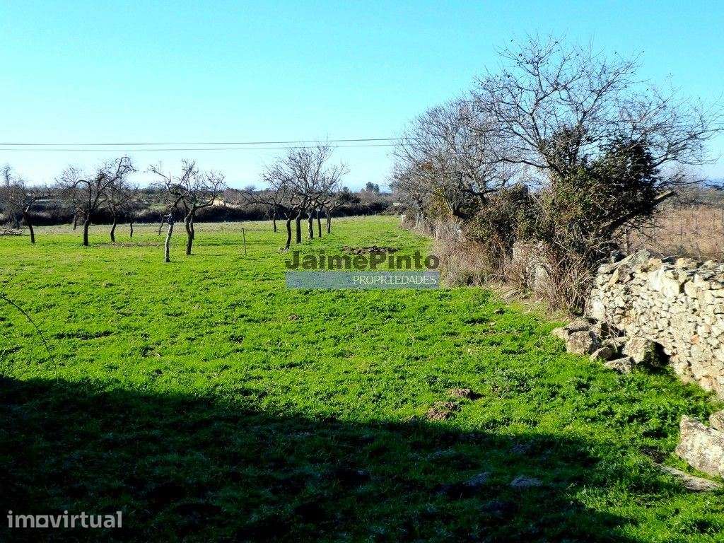 Casa de Campo em ruína em 15 000m2. Portugal, Guarda, F. C. Rodrigo - Grande imagem: 3/4