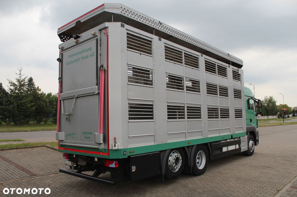 MAN TGS 26.440 DO ŻYWCA ZWIERZĄT BYDŁA Z NIEMIEC - 4
