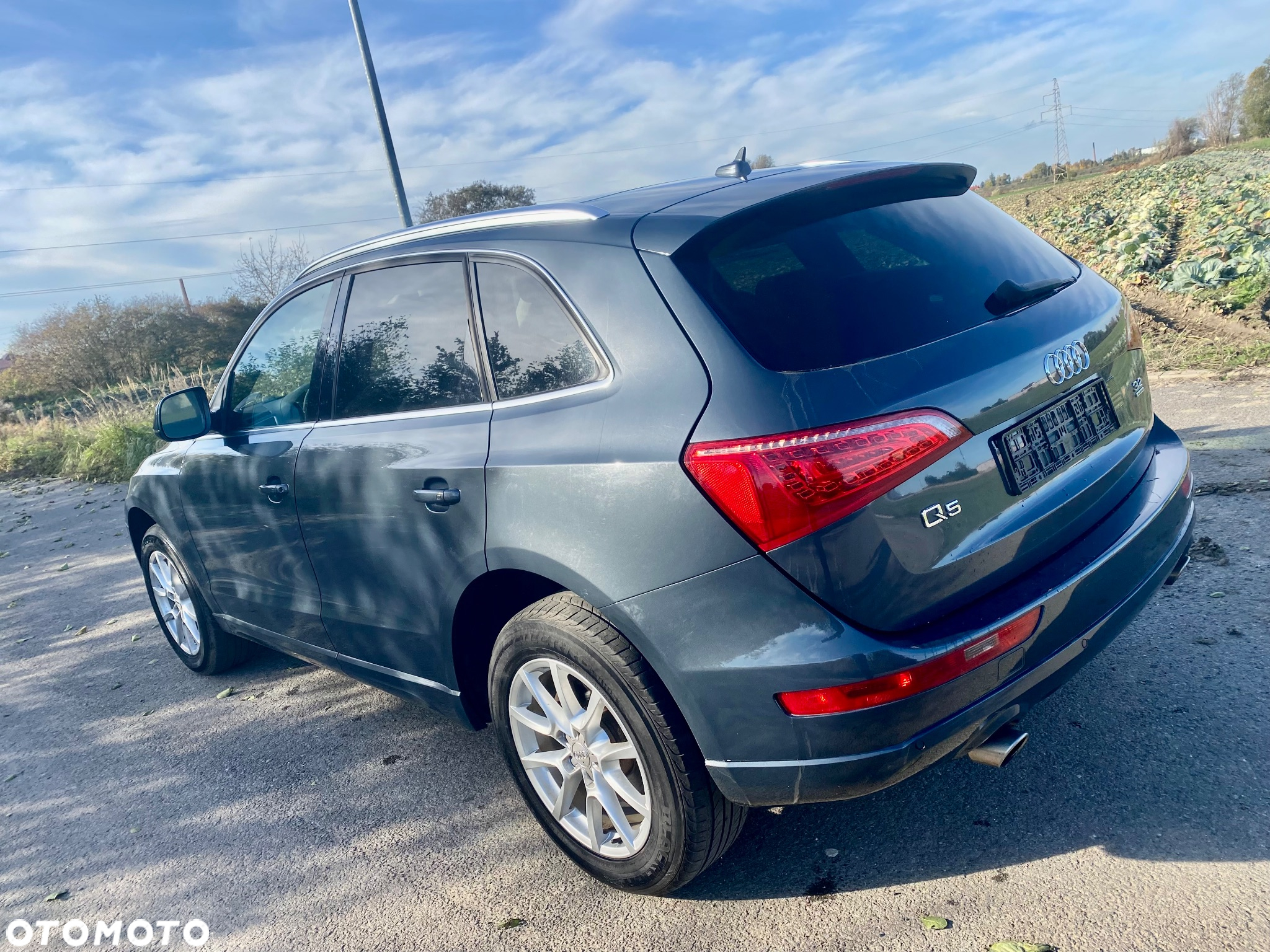 Audi Q5 - 18