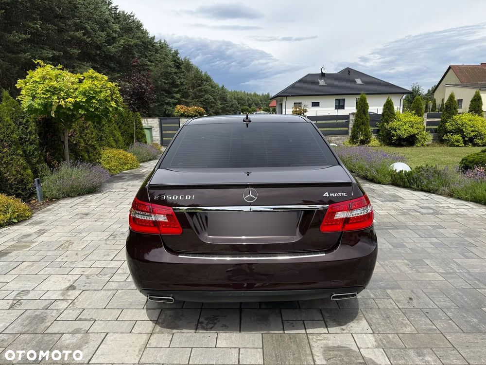 Mercedes-Benz Klasa E 350 CDI 4-Matic BlueEff Avantgarde - 12