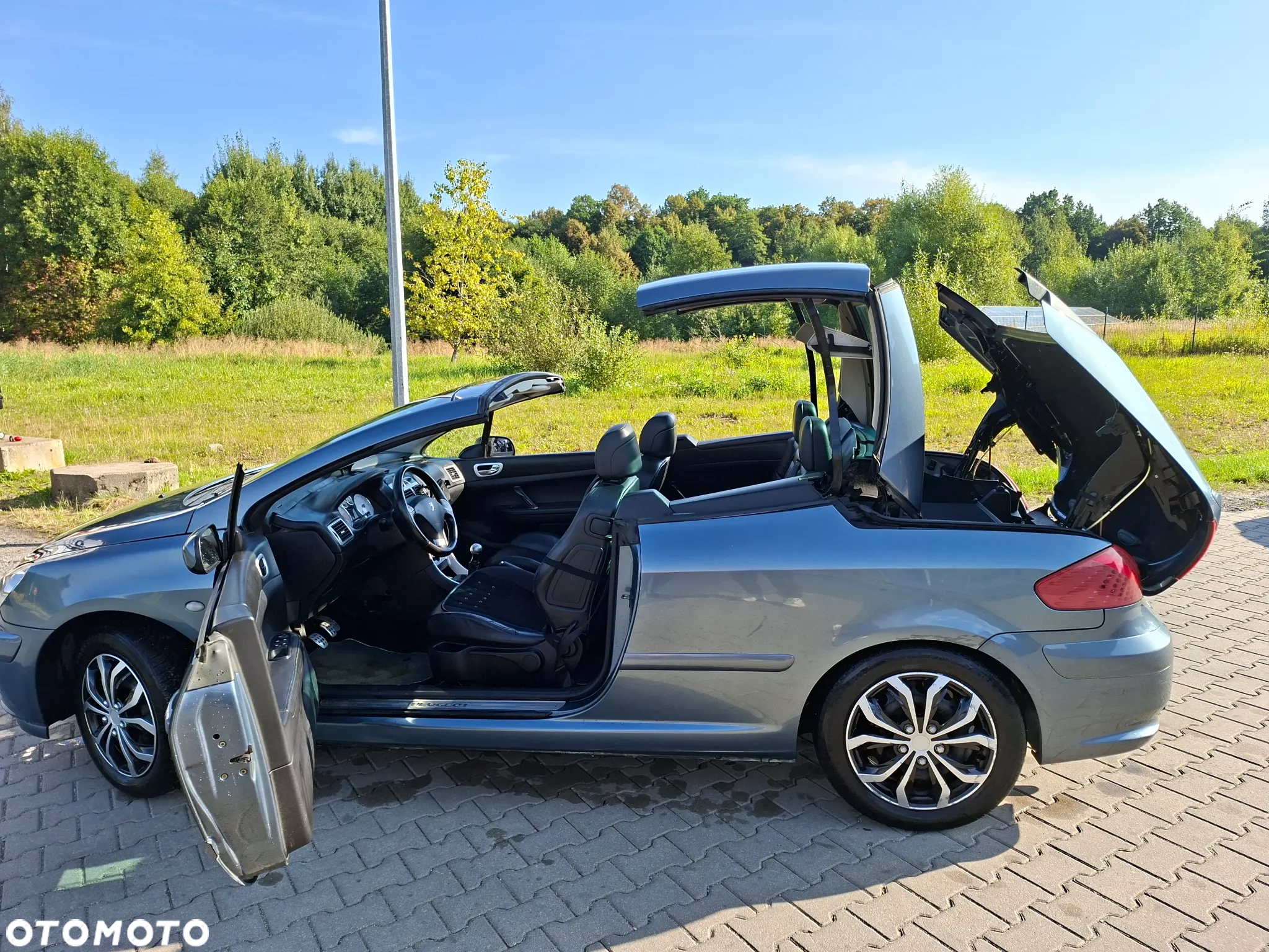 Peugeot 307 CC 2.0 - 3