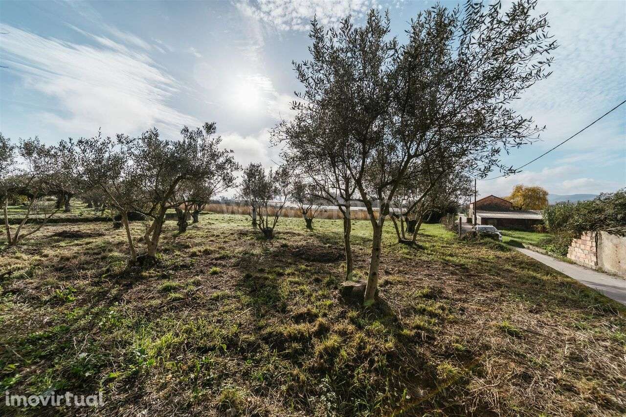 Terreno Rústico / Fundão, Alcaria - Grande imagem: 3/5