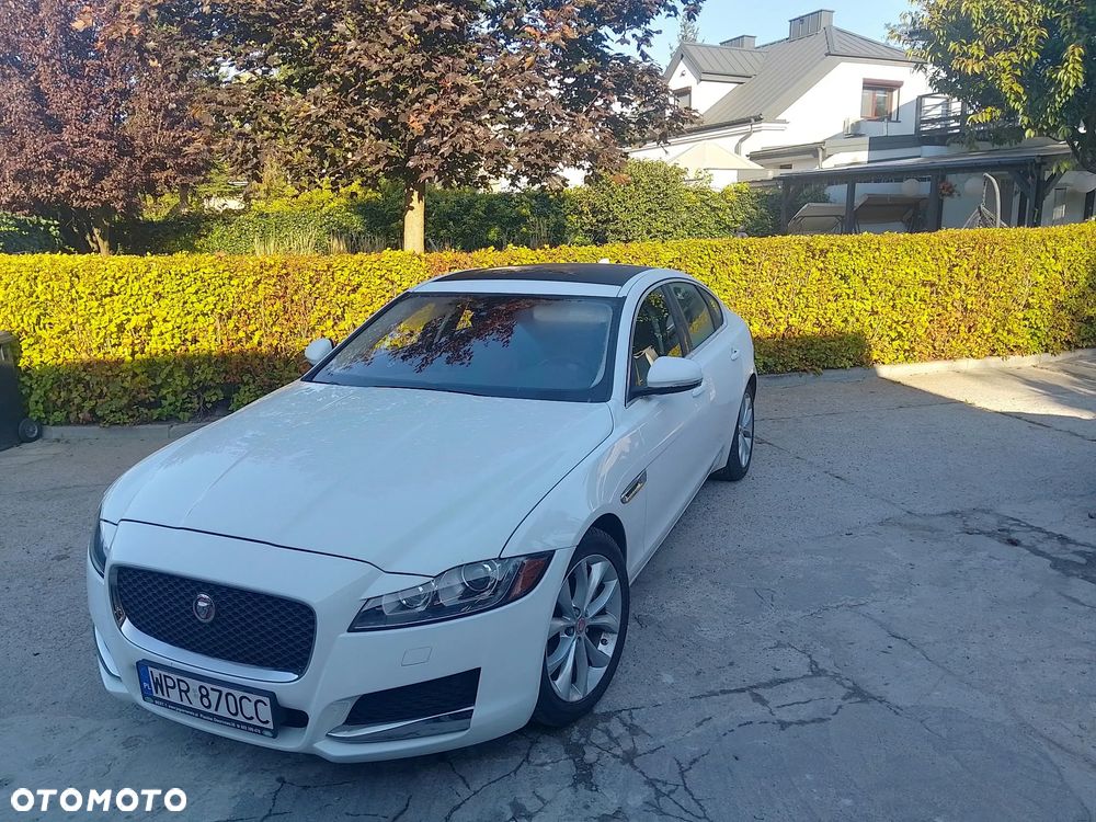 Jaguar XF - 14