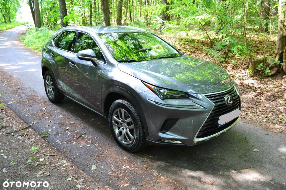 Lexus NX 300h - 1