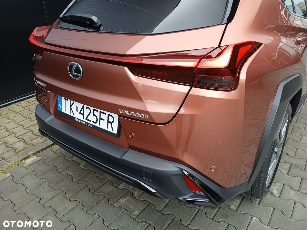 Lexus UX 300h F Sport Design - 29