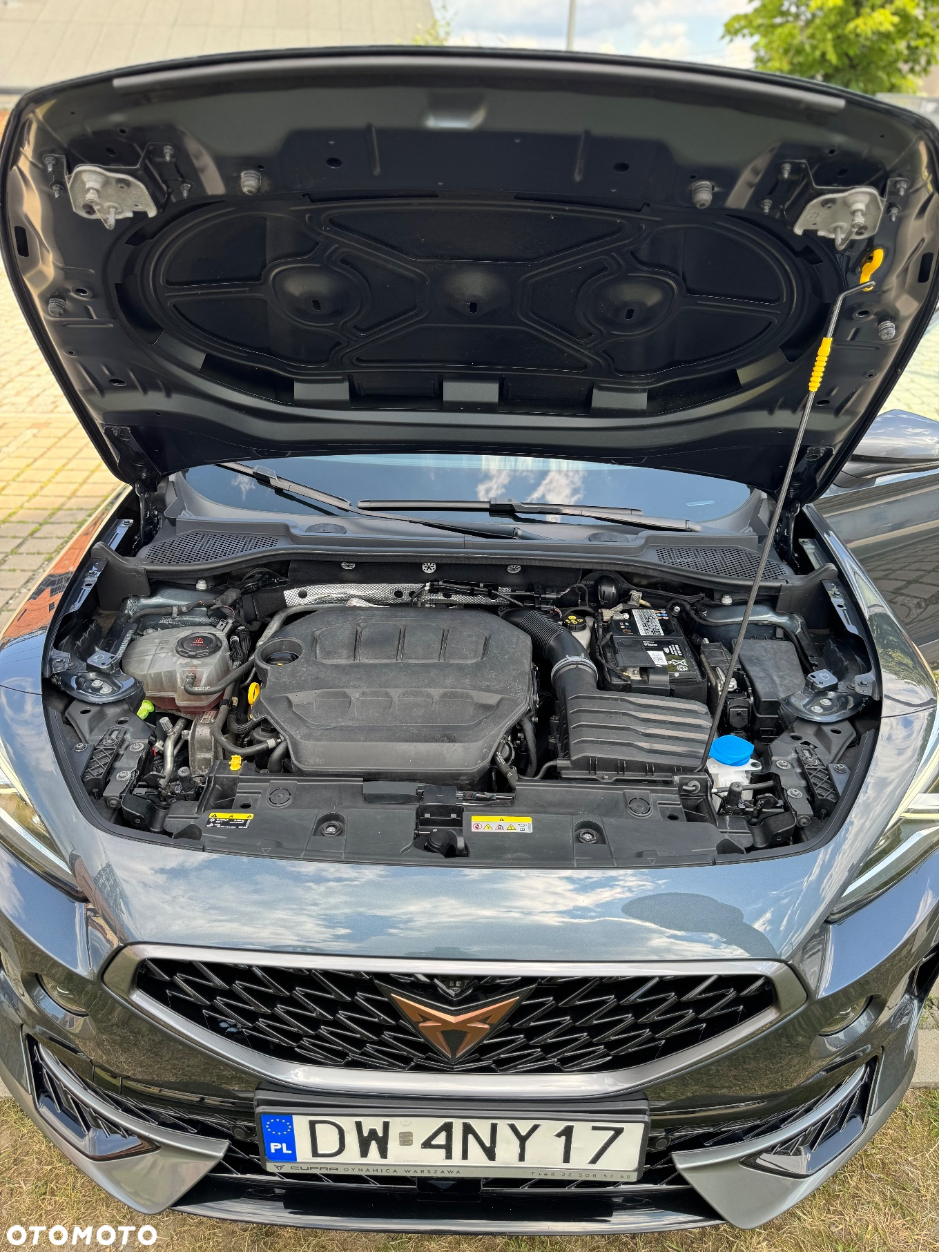 Cupra Formentor 2.0 TSI 4Drive DSG - 23