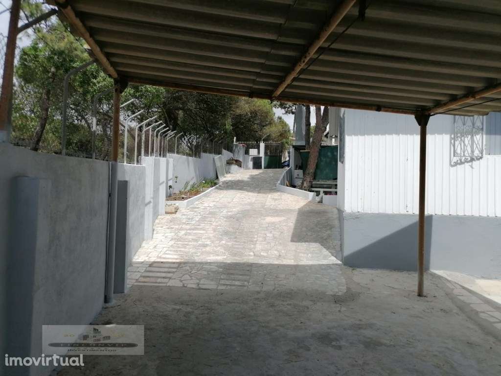 3 Terrenos na Courela do Pinhal com uma moradia terrea T2 - Grande imagem: 5/32