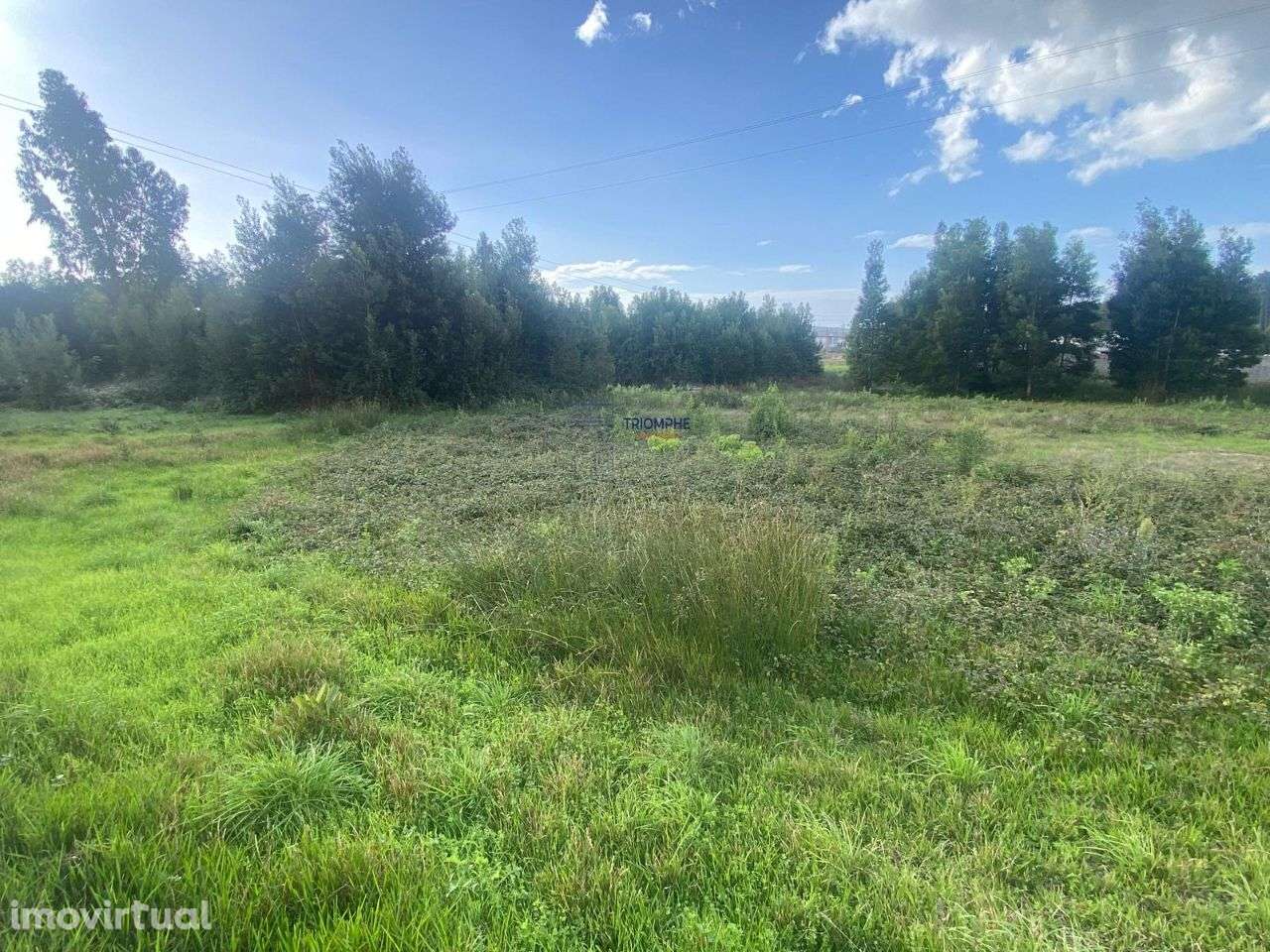 Terreno 3.486m² zona urbana Pataias - Grande imagem: 4/8