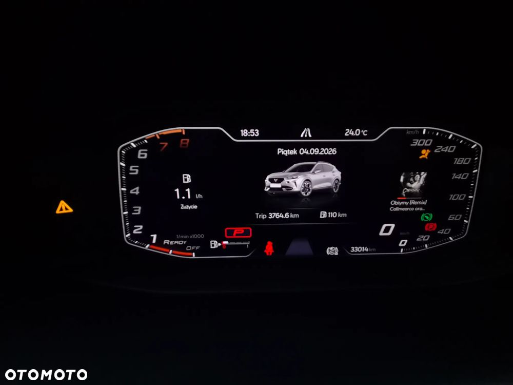 Cupra Formentor 1.5 TSI DSG - 15