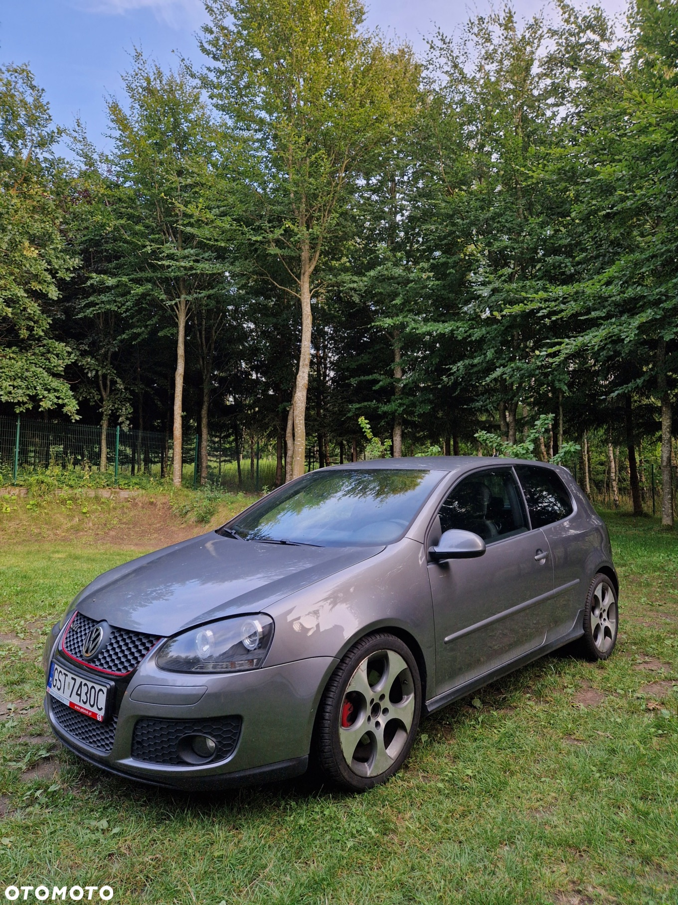 Volkswagen Golf 2.0 GTI DSG - 2