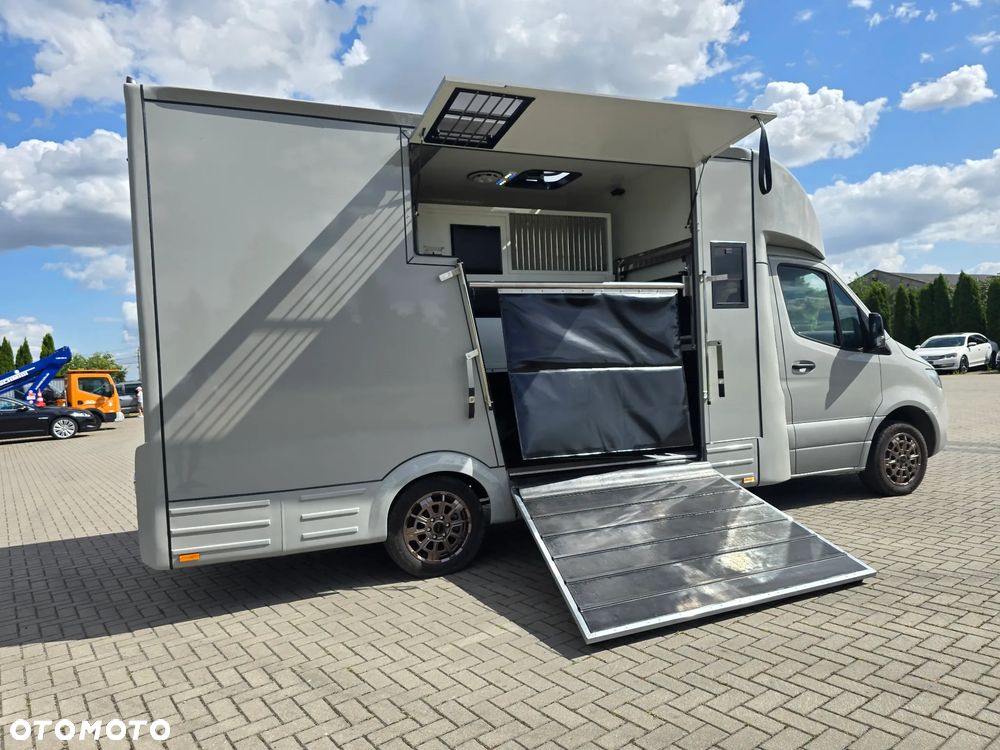 Mercedes-Benz Koniowóz-Sprinter - 15