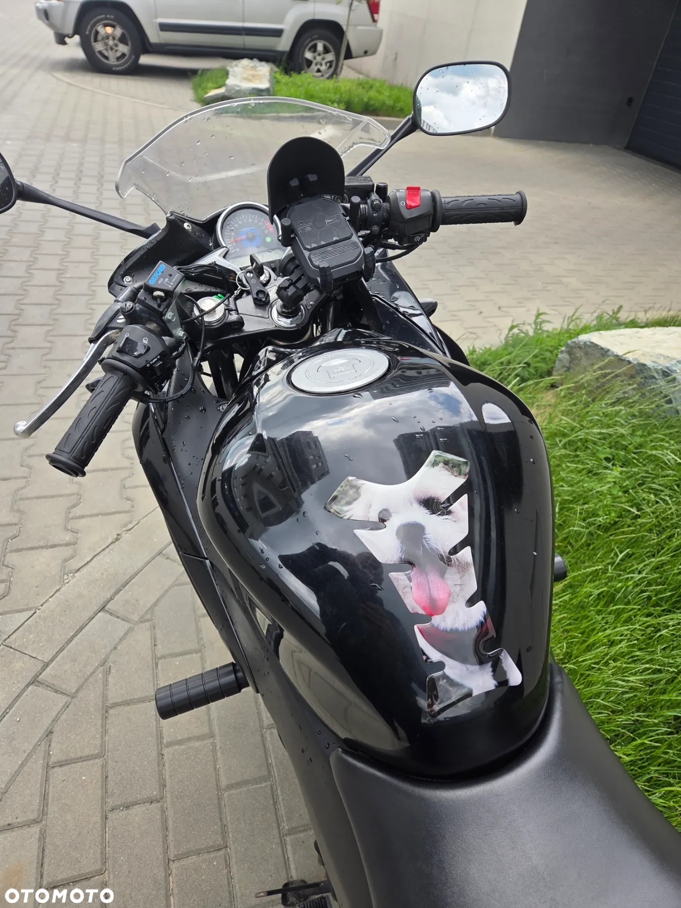 Honda CBR - 6