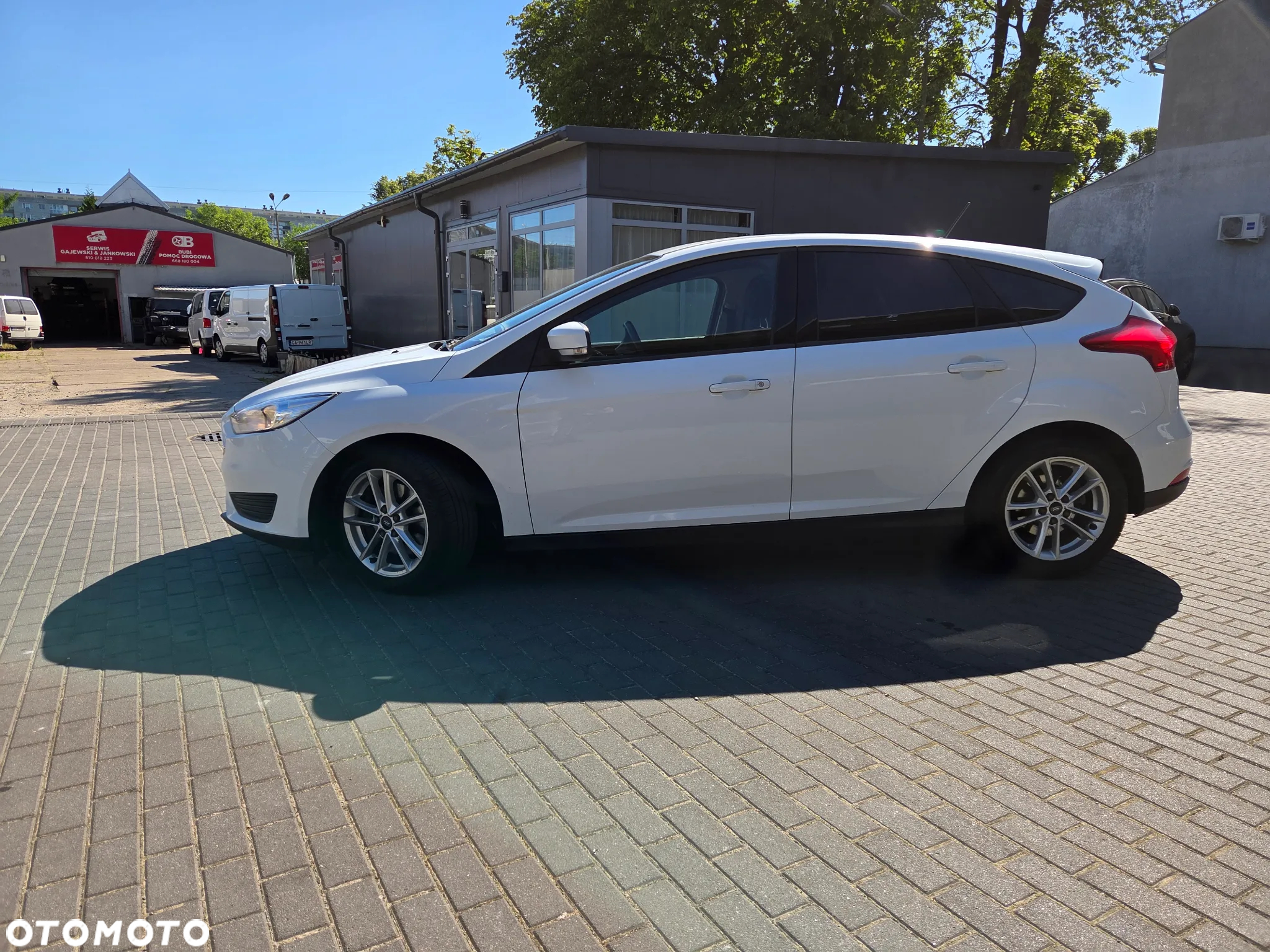 Ford Focus 1.5 EcoBoost Platinium X ASS - 19