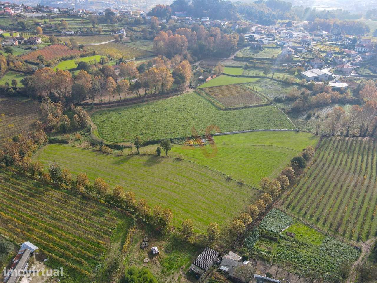 Terrenos Agrícolas com 13.513 m² em Pedreira, Rande e Sernande, Felgue - Grande imagem: 3/4