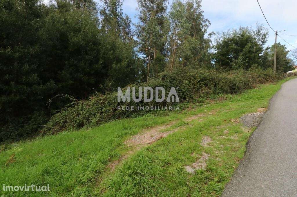 Venda Terreno - Grande imagem: 3/5