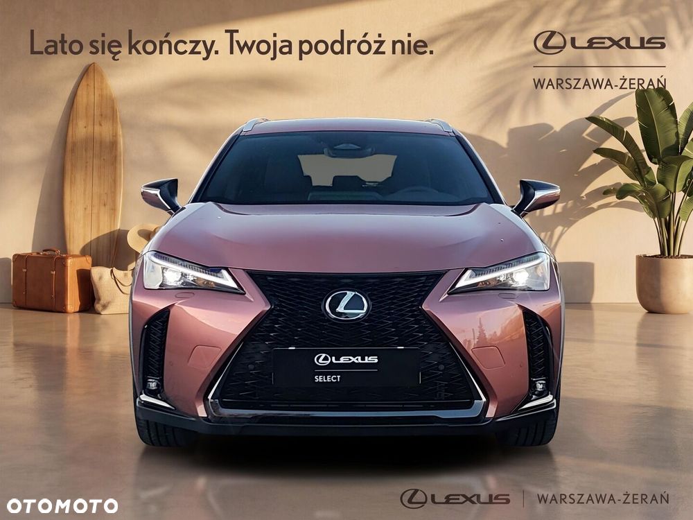 Lexus UX 300h F Sport Design - 10