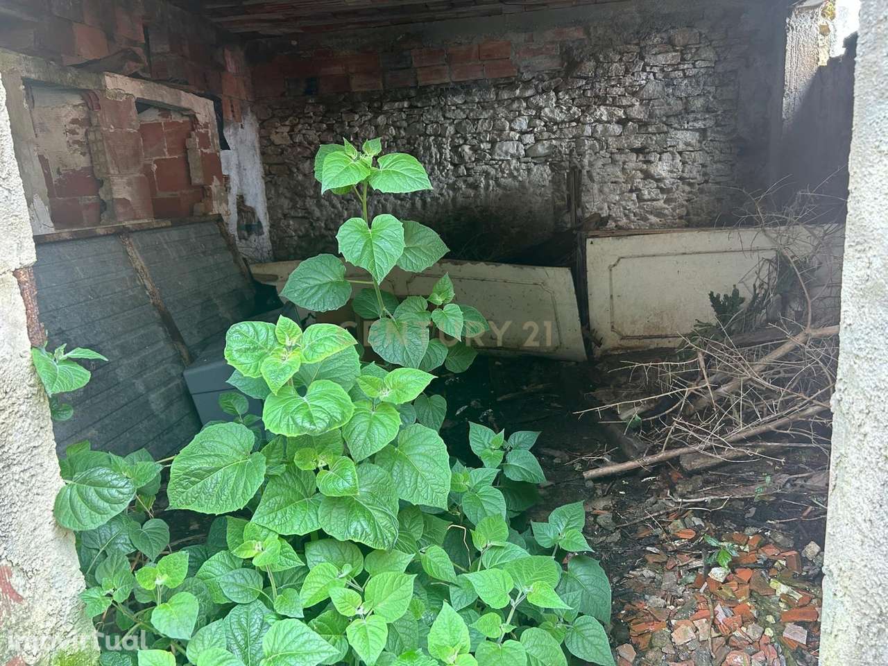 Prédio em Ruínas com vista com vista para o campo - Alcobaça - Grande imagem: 2/5