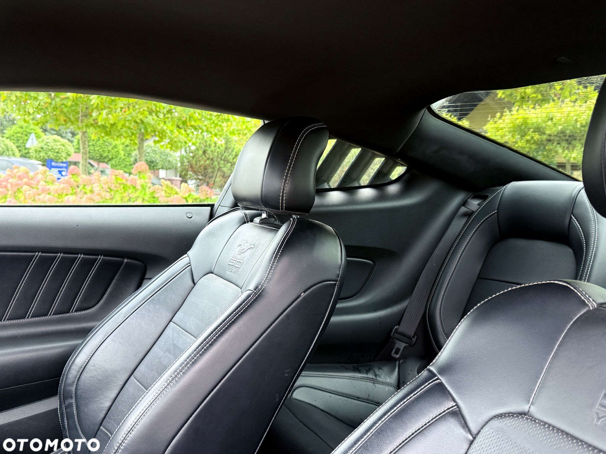 Ford Mustang 2.3 EcoBoost - 23