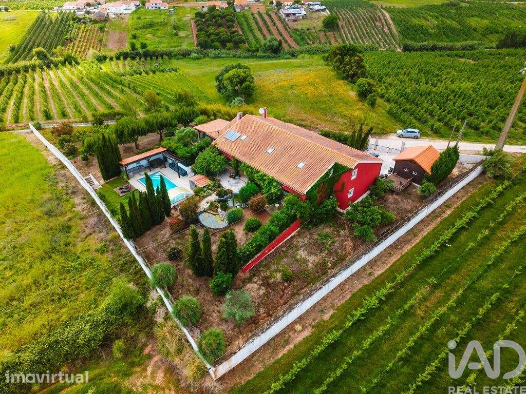 Casa / Villa T3 em Peral de 468 m2 - Grande imagem: 4/40