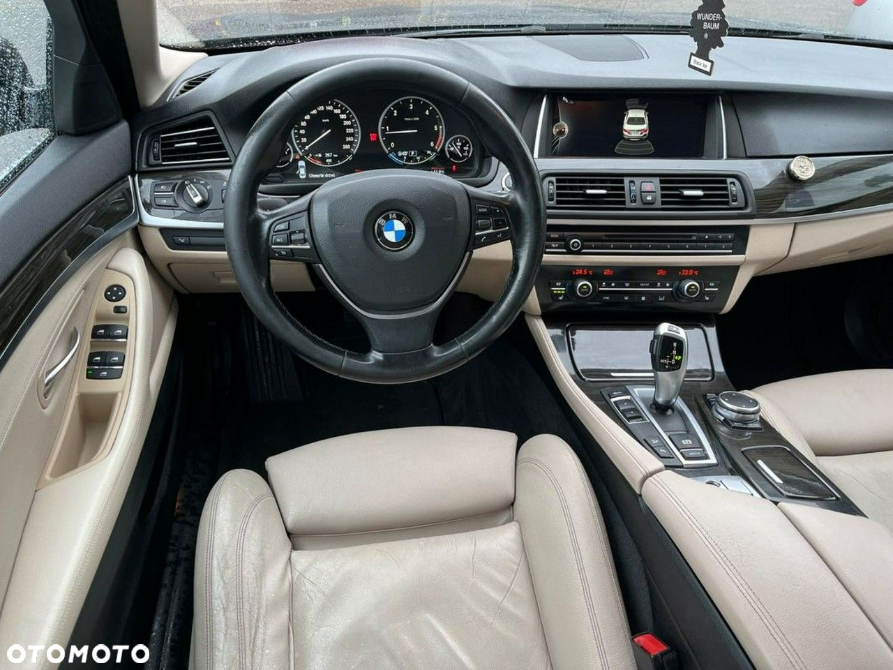 BMW Seria 5 525d xDrive Luxury Line - 5