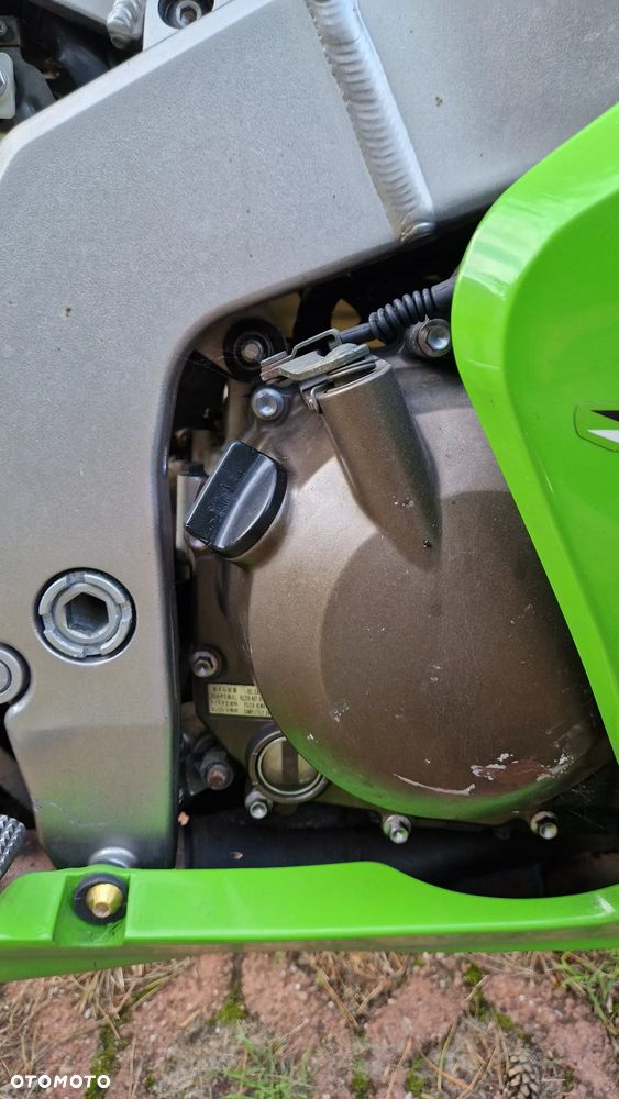 Kawasaki Ninja - 10
