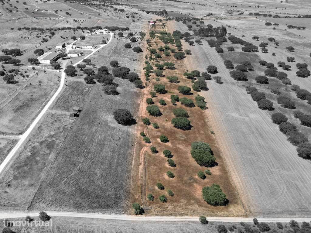Terreno Misto com 4 Hectares e Armazém Licenciado a 5 Minutos de Monsa - Grande imagem: 2/14