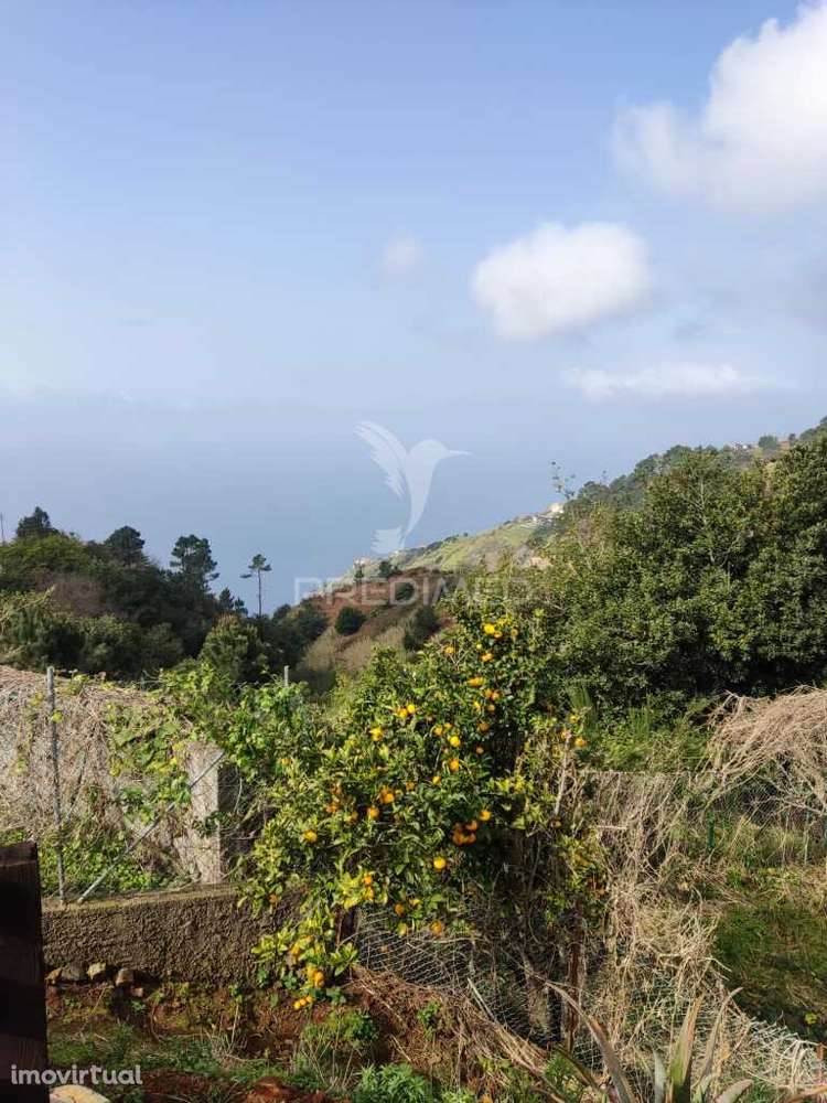 Moradia em Ruína Para Venda em Fajã da Ovelha, Ilha da Madeira - Grande imagem: 4/24