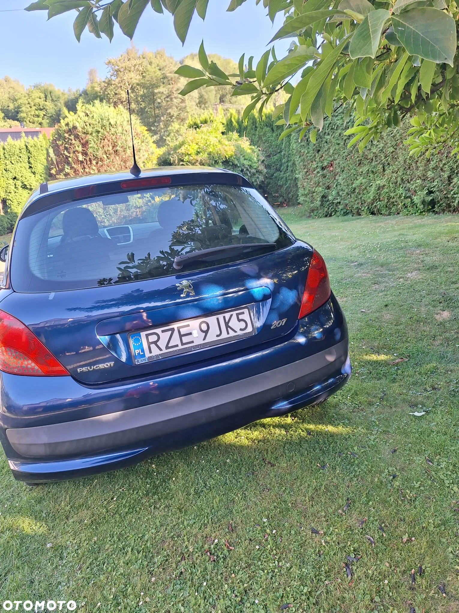 Peugeot 207 - 4