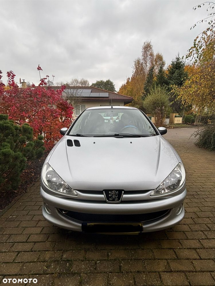 Peugeot 206 - 1