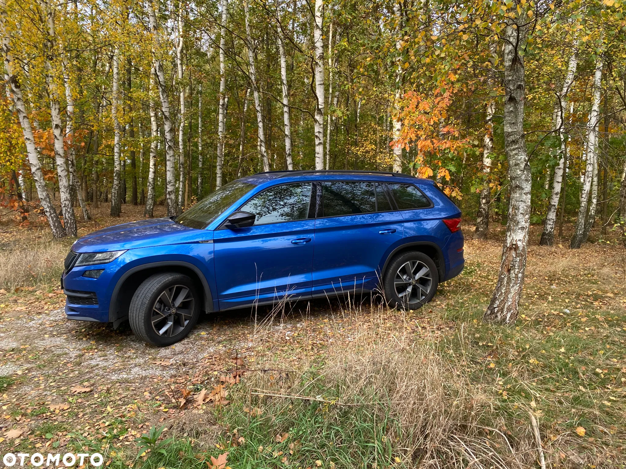 Skoda Kodiaq 2.0 TSI 4x4 Sportline DSG - 21