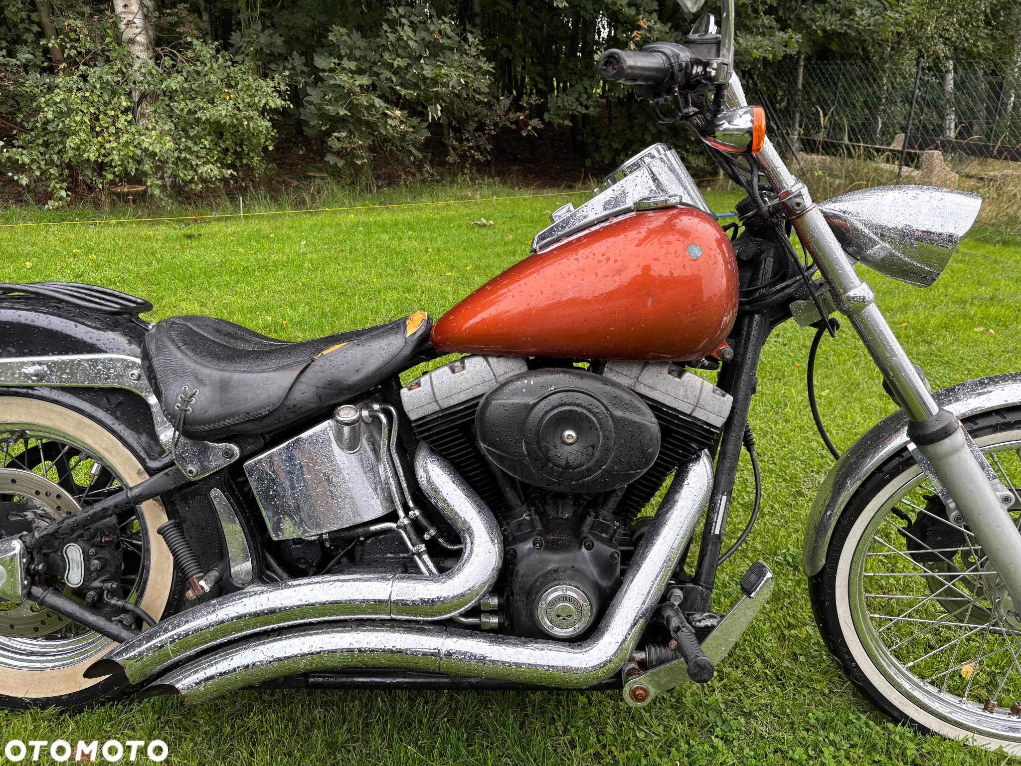 Harley-Davidson Softail Standard - 2