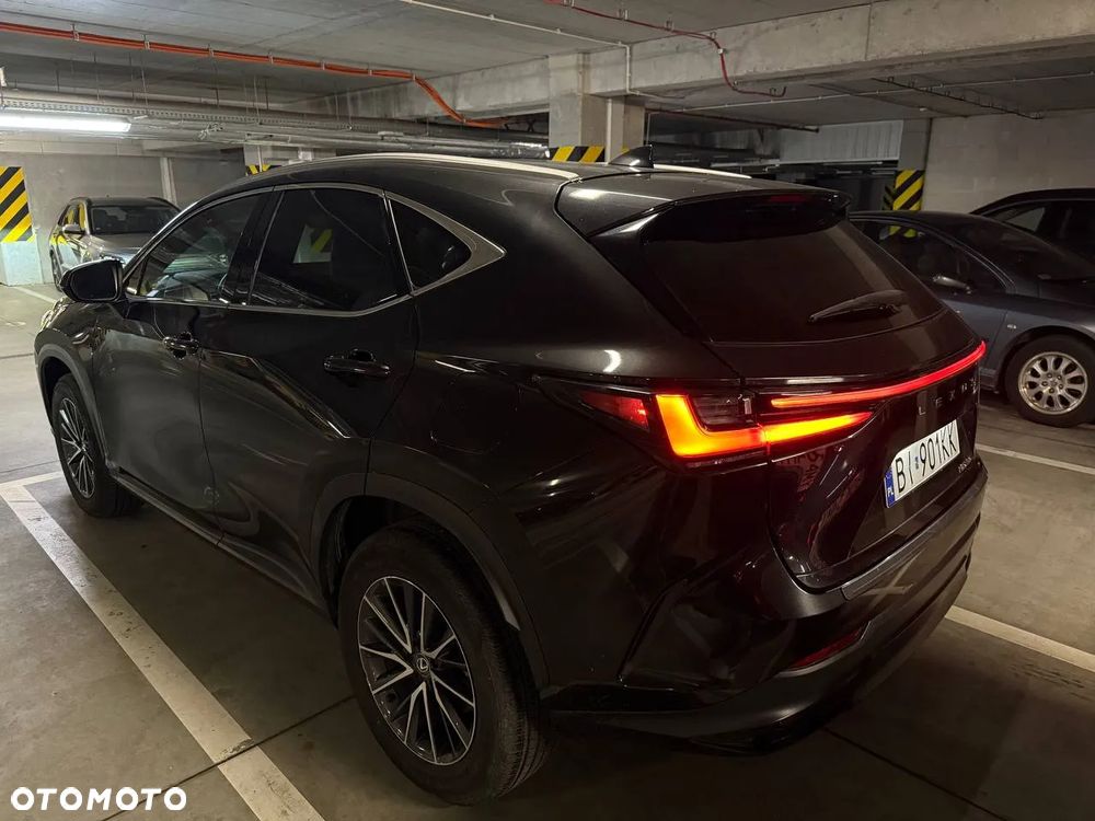 Lexus NX - 5