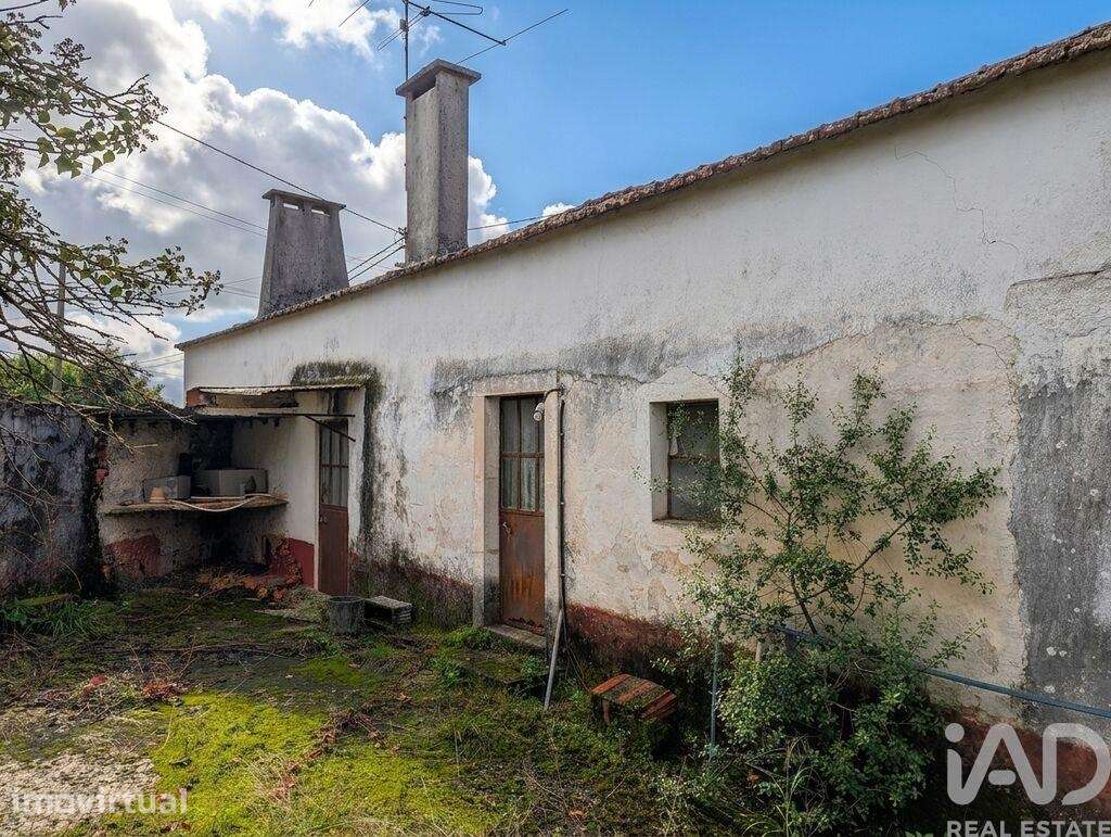 Casa de Campo T2 em Brogueira, Parceiros de Igreja e Alcorochel - Grande imagem: 2/40