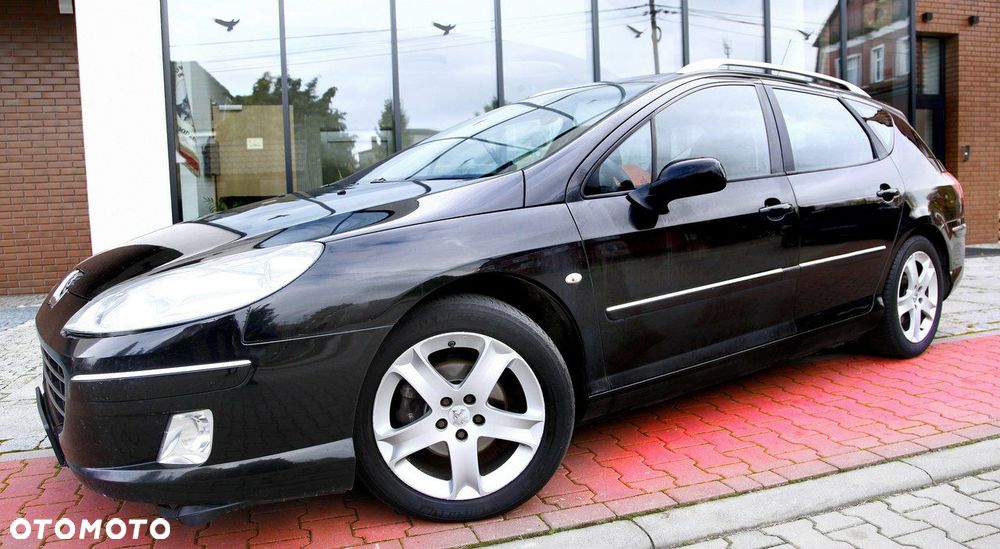 Peugeot 407 - 30