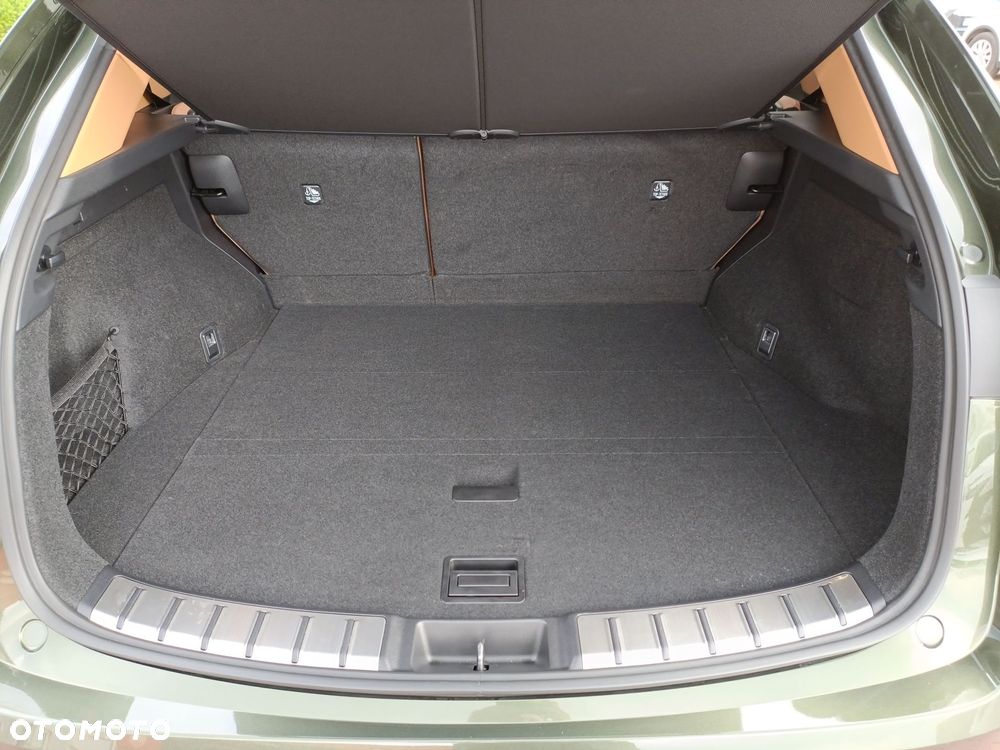 Lexus NX - 19