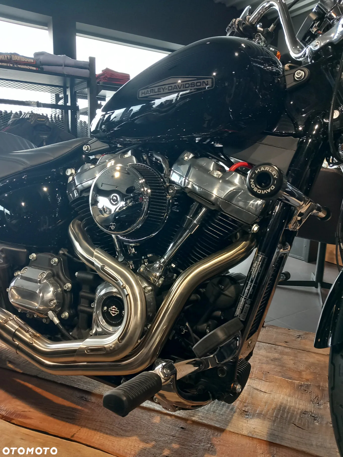 Harley-Davidson Softail Standard - 2