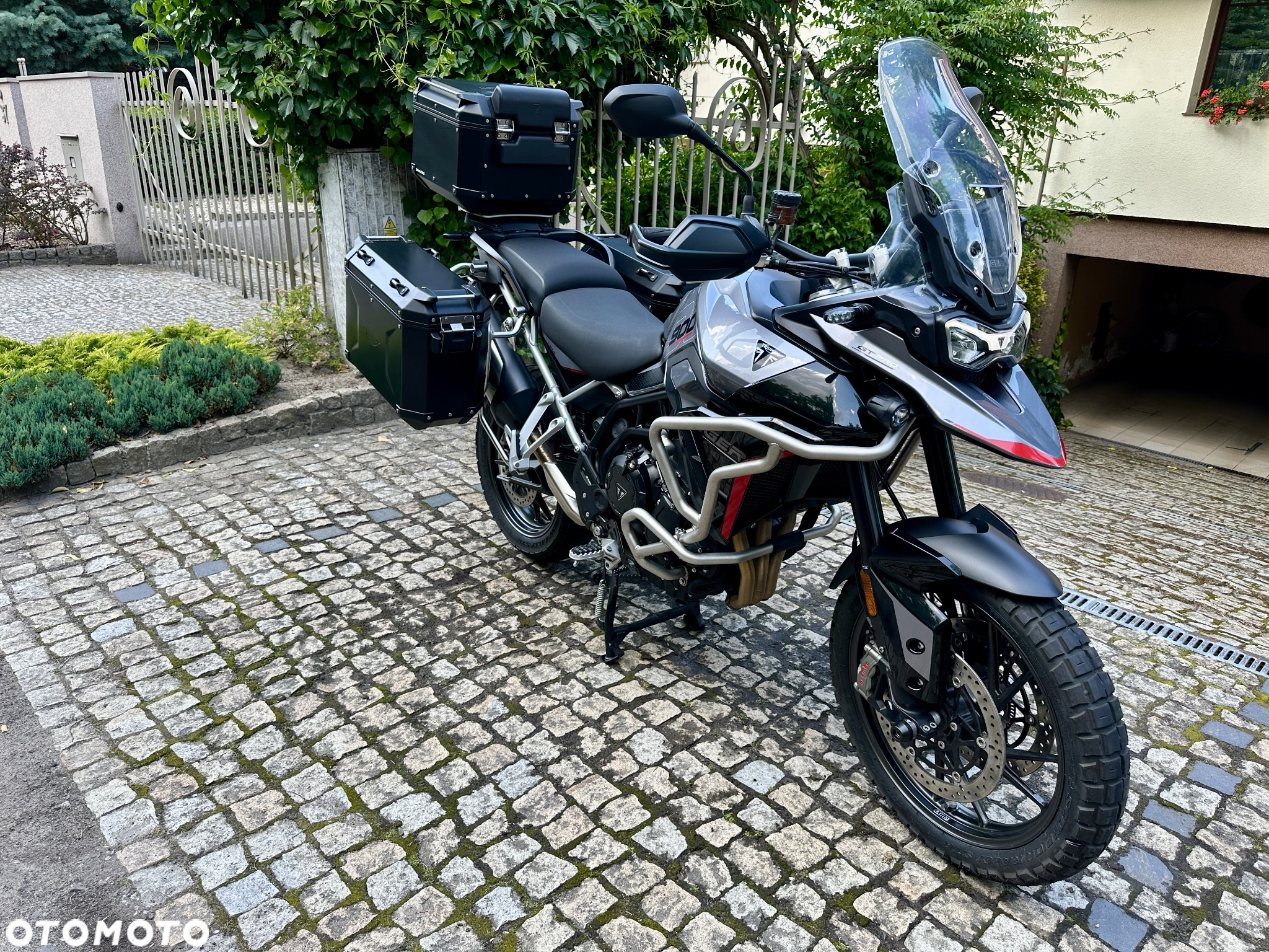 Triumph Tiger - 3