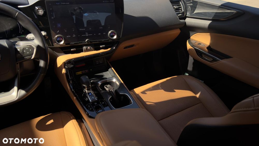Lexus NX - 21