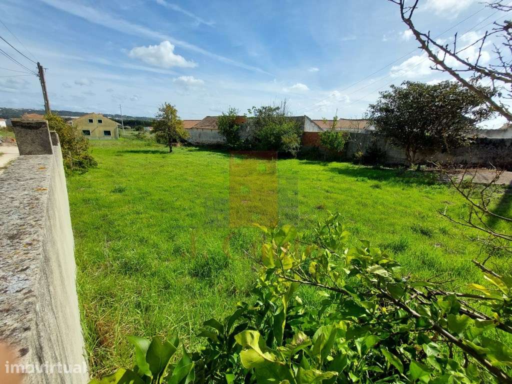 Terreno no Campo, Caldas da Rainha - Grande imagem: 3/32