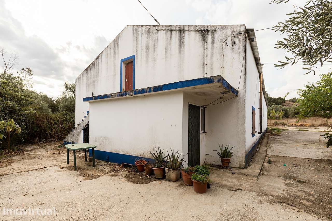 Quinta de 33.000 m² c/ Armazém em Montemor-o-Novo, Évora - Grande imagem: 3/50