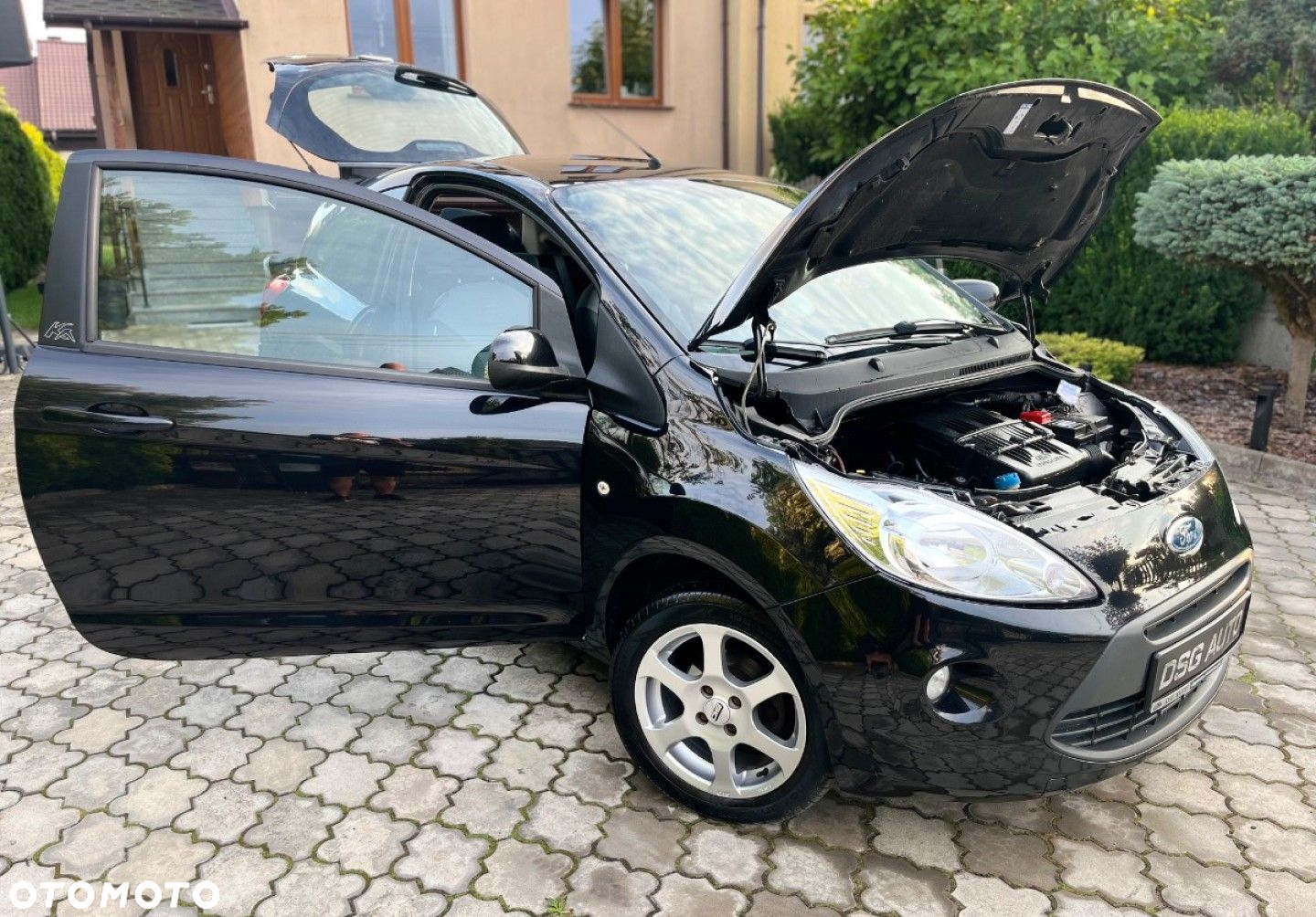 Ford KA - 24