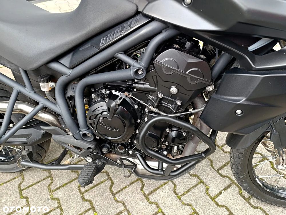Triumph Tiger - 7