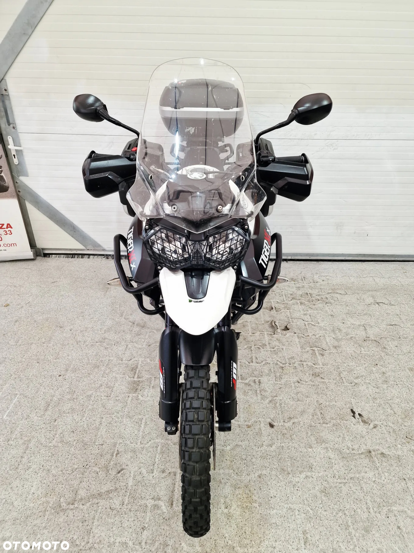 Triumph Tiger - 13