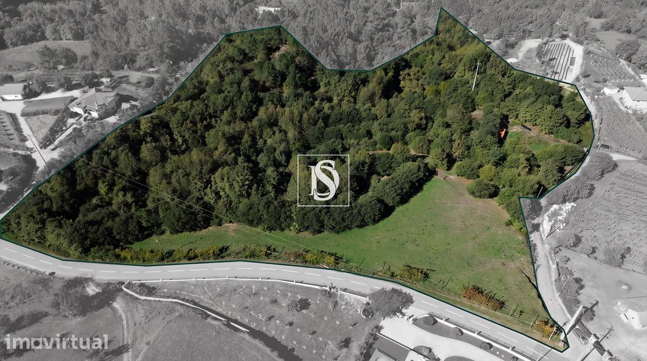Terreno, Porto, Amarante, Gouveia (São Simão)