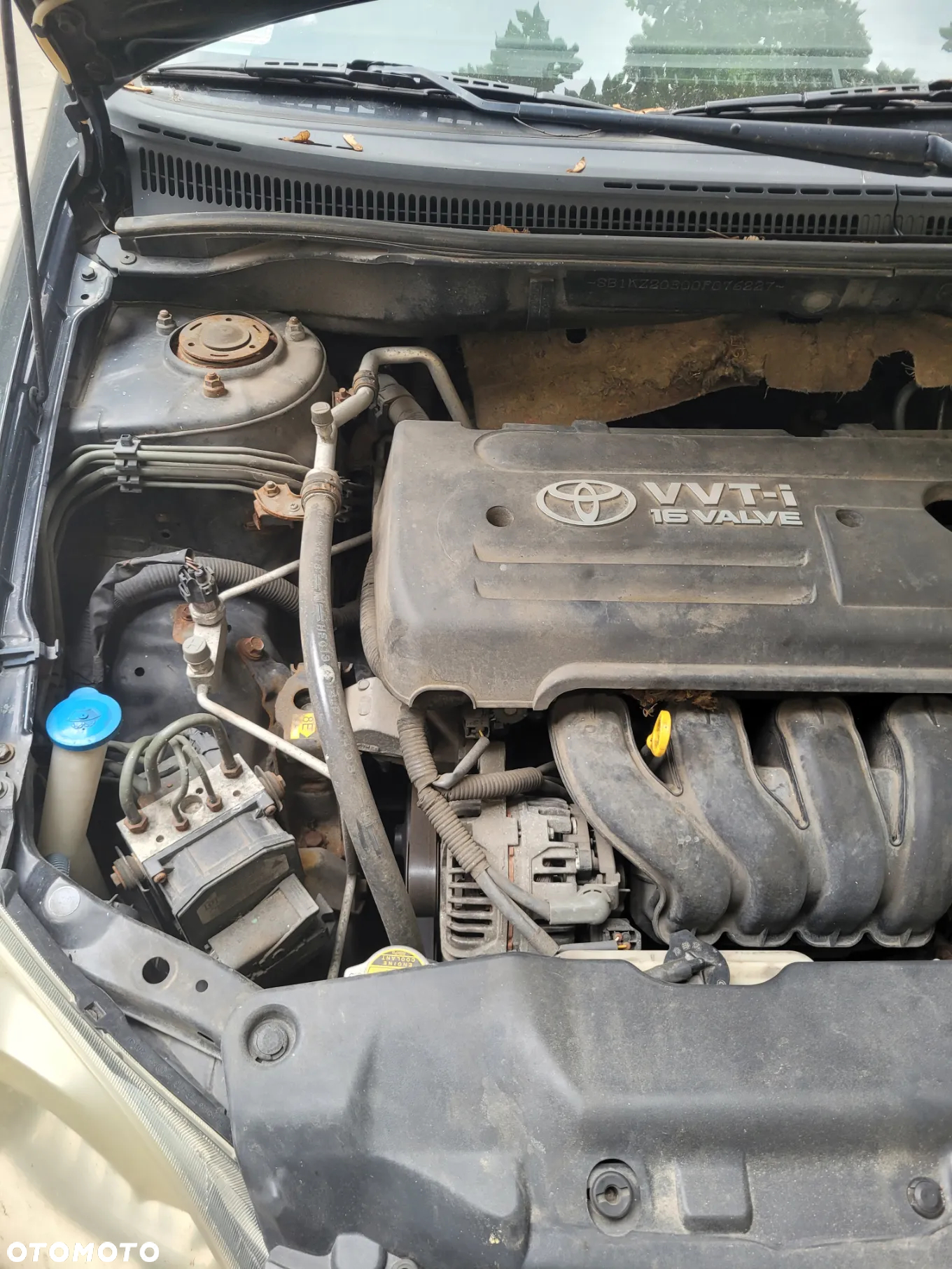 Toyota Corolla - 5