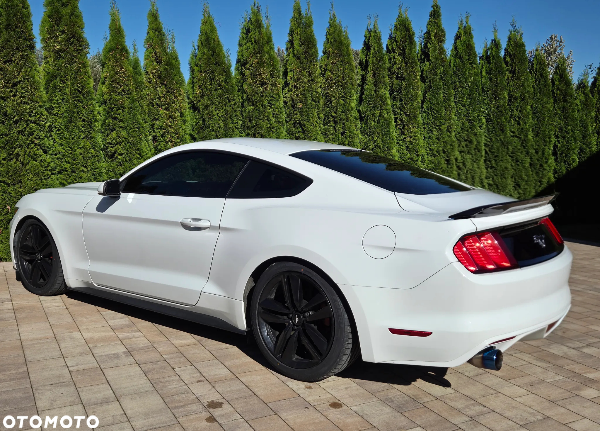 Ford Mustang 3.7 V6 - 16