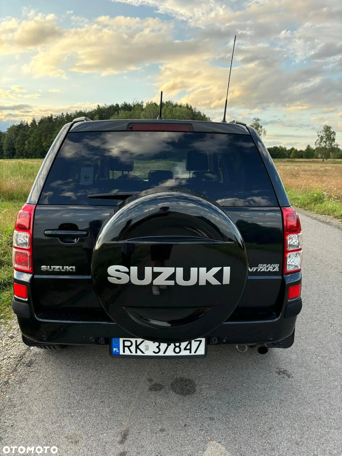 Suzuki Grand Vitara 1.9 DDiS - 23